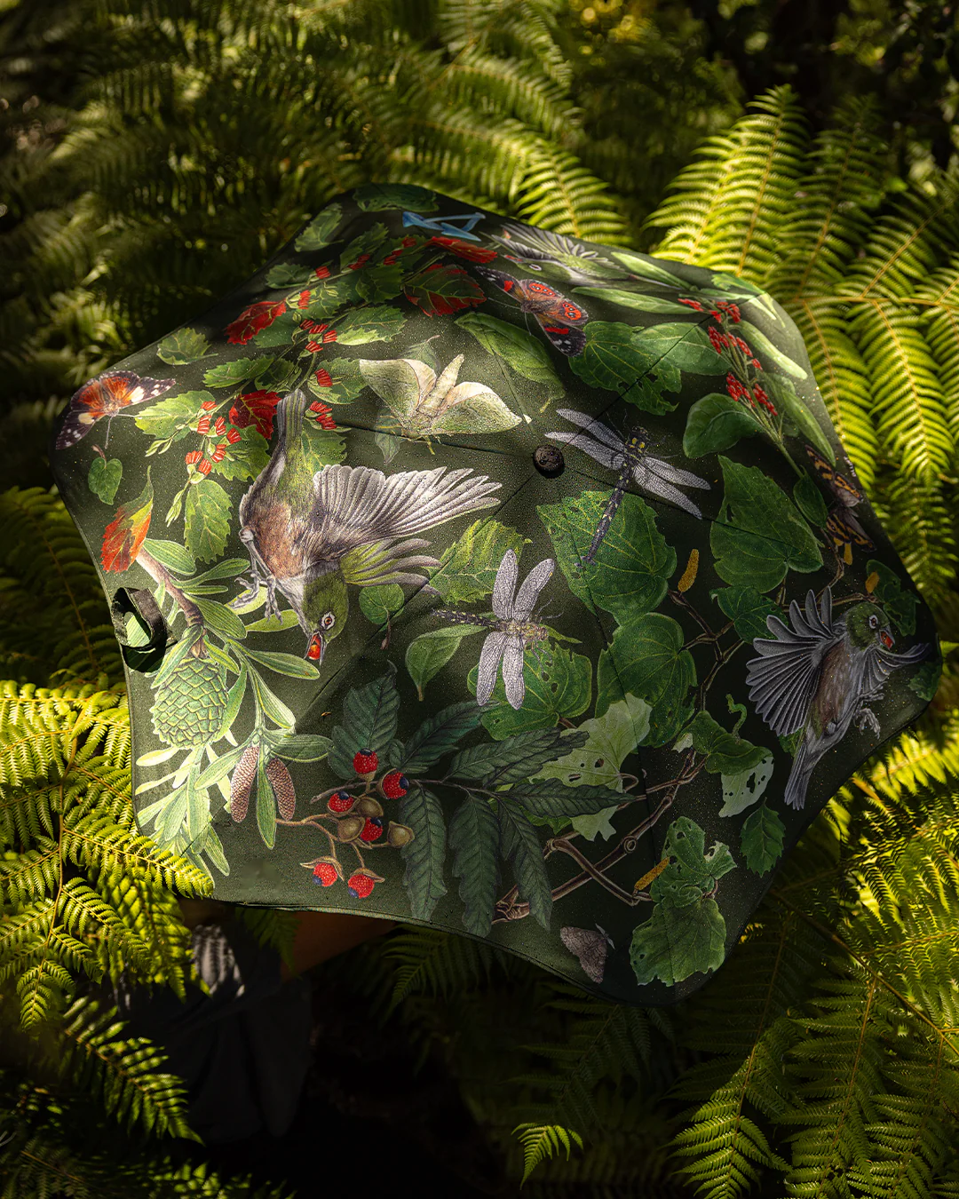 BLUNT x Forest & Bird Metro 2024 - Image 11