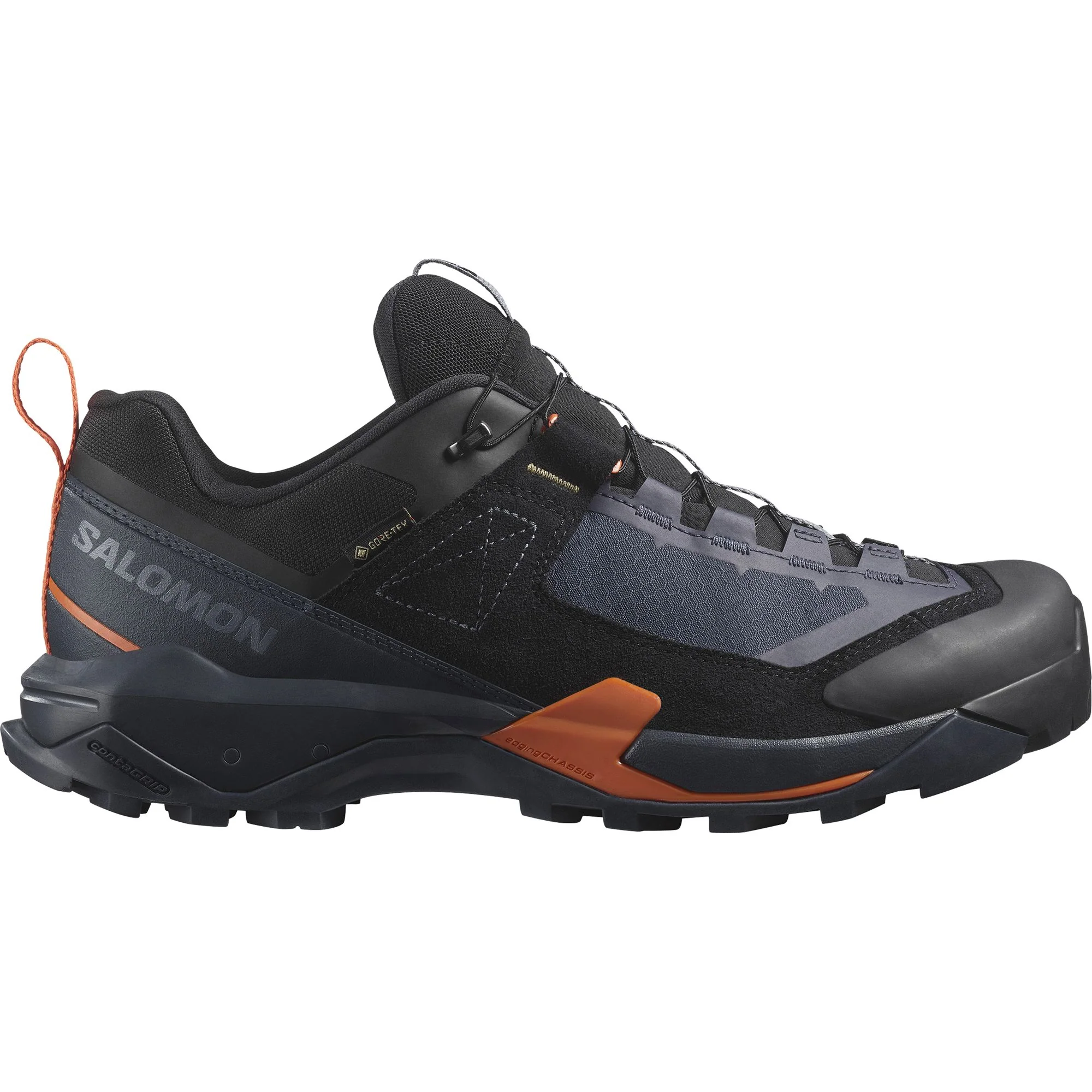 Salomon X Ultra Alpine GTX Men's Hiking Shoes